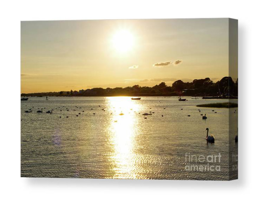Transform your space with the captivating canvas print of 'Majestic Golden Hour: Reflections at Mudeford Quay Harbour.' This serene silhouette of the harbour, where swans gracefully glide on sunlit waters. Experience the enchantment of golden hour as the sun casts its warm hues and reflects beautifully. Bring home the magic and elevate your decor with this captivating canvas print from Fine Art America.